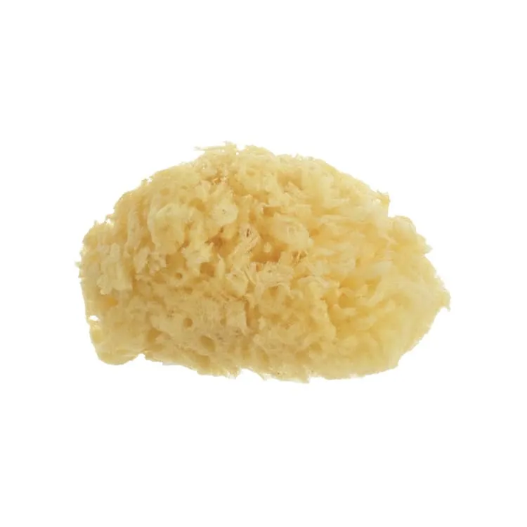 Aposán Bebé Esponja Natural Infantil, 1 Unidad Aposan-Bebe-Esponja-Natural-Infantil-186147